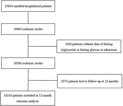 Triglyceride Glucose Index and Prognosis of Patients With Ischemic Stroke